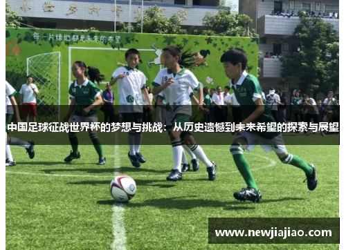 中国足球征战世界杯的梦想与挑战：从历史遗憾到未来希望的探索与展望